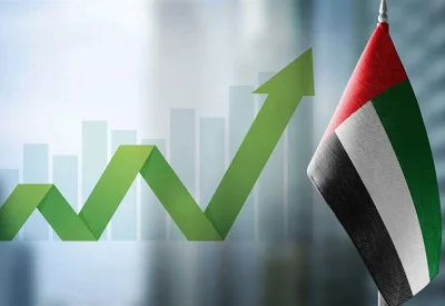 آفاق سياسات الاستثمار في دولة الإمارات العربية المتحدة