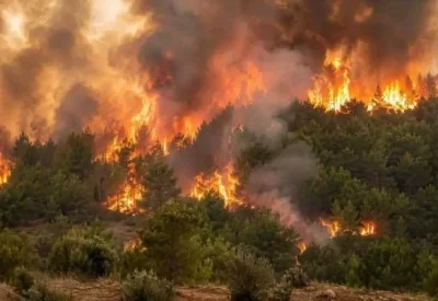 إخماد عشرات الحرائق في الجزائر و المغرب وتونس وسط موجة حر قياسية