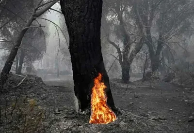 "سحب النار".. ظاهرة مناخية تزيد انتشار النيران في أوروبا