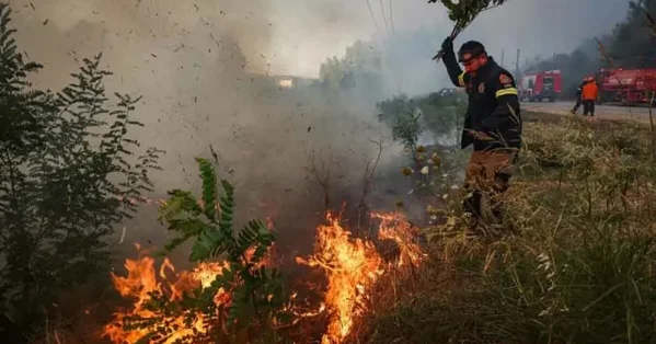 مصرع شخصين بسبب حرائق في جزيرة سالاميس اليونانية