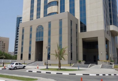 خلف: إطلاق مبادرة إكثار النخيل 