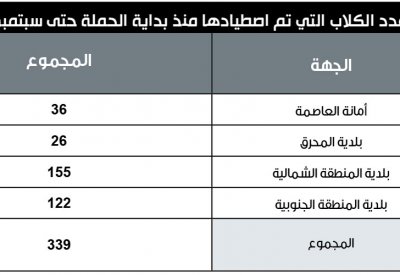 اصطياد 339 كلبا ضالا منذ استمرار الحملة لعام واحد