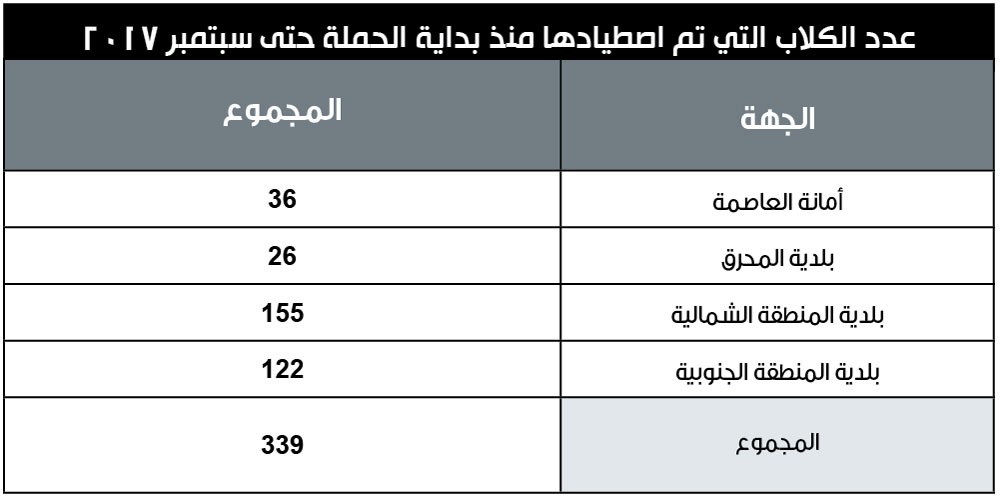 اصطياد 339 كلبا ضالا منذ استمرار الحملة لعام واحد