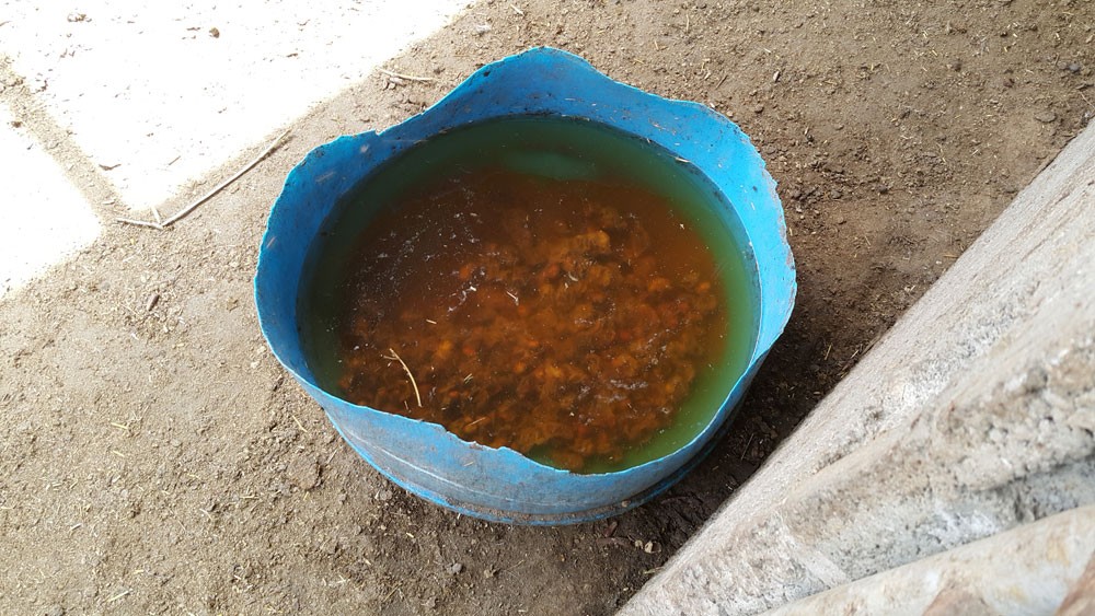كم مرضاً يمكن ان ينجم عن تناول لحم ملوث؟