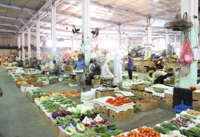 واردات البصل المصري واليمني تطيح بالأسعار 30 %