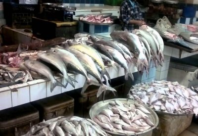 انتعاش الحركة في سوق الأسماك بفضل الزبائن الخليجيين