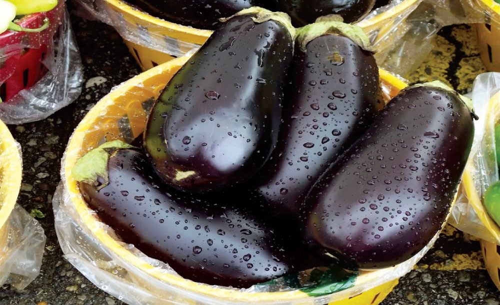  الباذنجان وفوائده الكثيرة للصحة