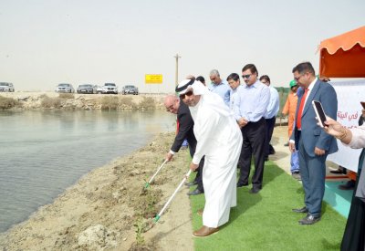 “بابكو” تستزرع 1250 شتلة في البيئة البحرية 