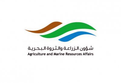 “الزراعة”: إنتاج النخالة أقل من الاستهلاك ولا تصدير للخارج