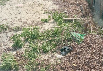 إزالة 25 شجرة يكشف عن مخالفات بناء بمدينة حمد