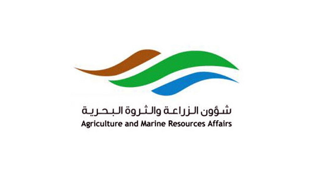 “الزراعة”: إنتاج النخالة أقل من الاستهلاك ولا تصدير للخارج