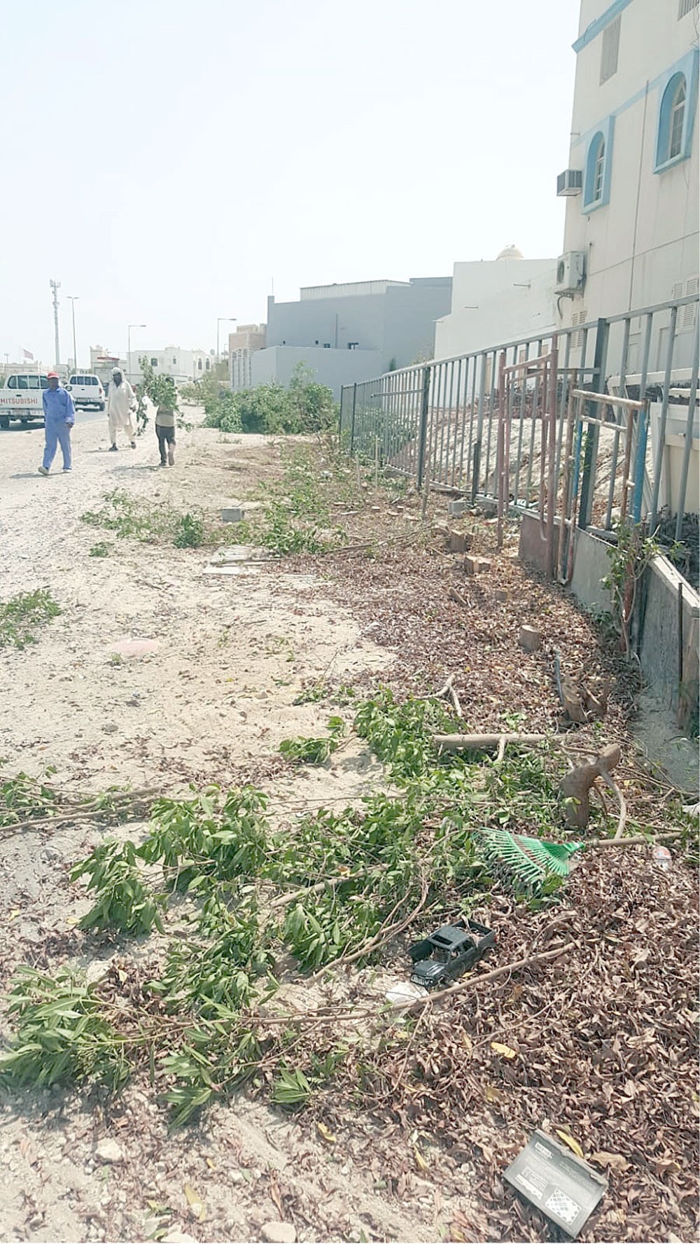إزالة 25 شجرة يكشف عن مخالفات بناء بمدينة حمد