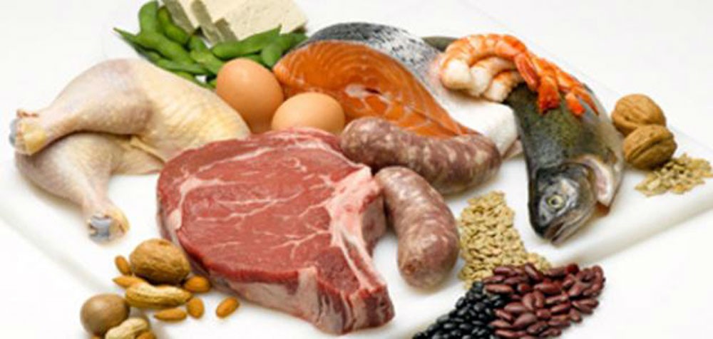 نقص البروتين يؤثر على “الذكورة”