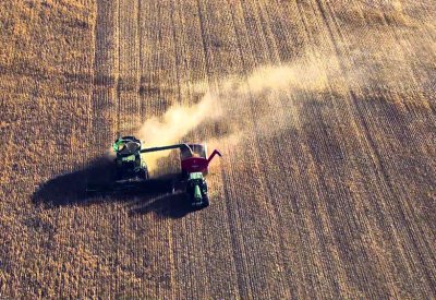 الجزائر: ارتفاع إنتاج الحبوب إلى 6 ملايين طن في 2018
