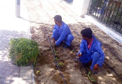 تجميل عدد من المواقع في مدينة عيسى