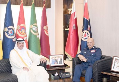 “الداخلية” و“الخارجية” تبحثان التعاون بحقوق الإنسان