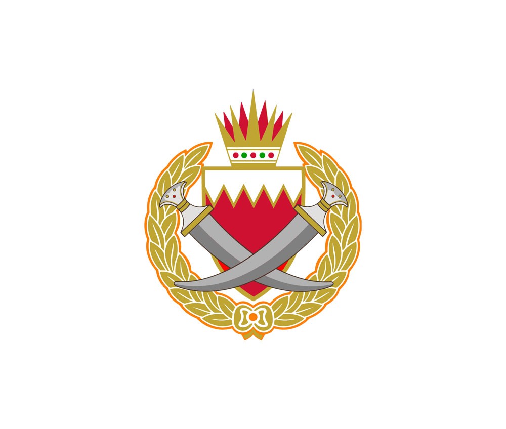45 ألف مستفيد من “محاضرة السياقة”