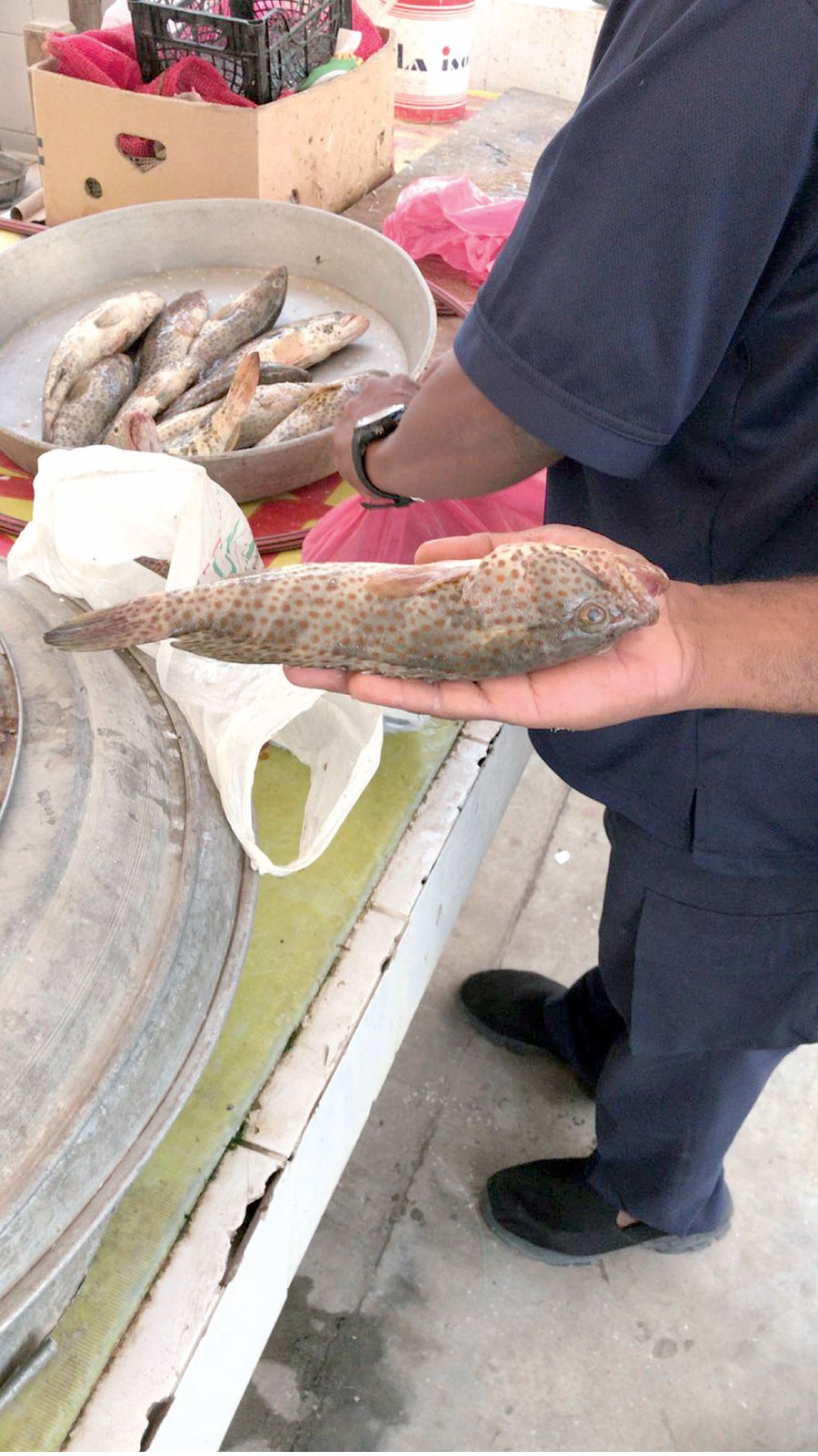 مصادرة طنين  من الأسماك الصغيرة والتالفة