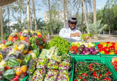 مهرجان زراعي احتفالاً بالعيد الوطني