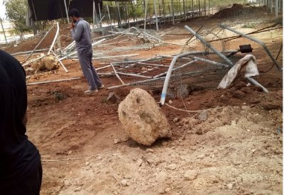 أصحاب الحظائر يناشدون سمو رئيس الوزراء إنصافهم