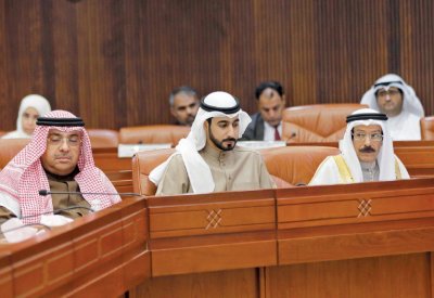 لا للرقابة على شركات “ربع حكومية”