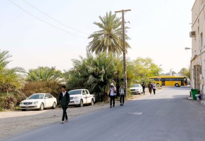 جد الحاج.. على ضفاف ذاكرة النسيان