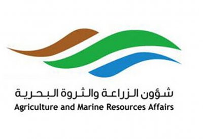 “الثروة البحرية” الأسماك المستزرعة وفيرة