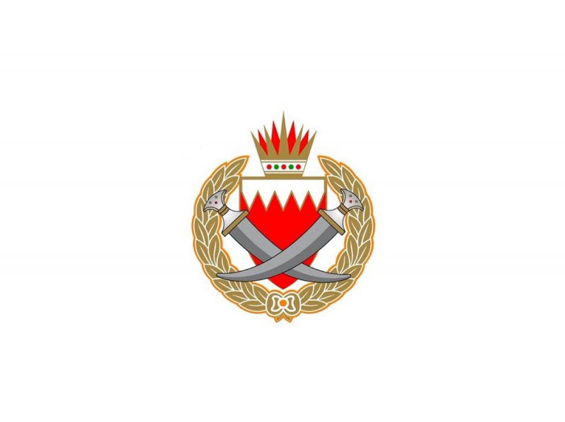 الدفاع المدني ودوره في الحد من الخسائر في الأرواح والممتلكات