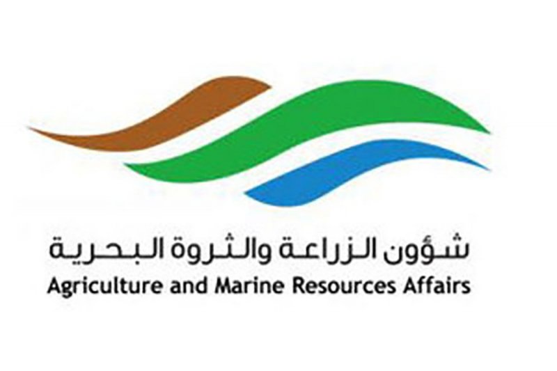 “الثروة البحرية” الأسماك المستزرعة وفيرة