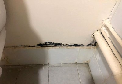 3 أخوات تحت رحمة الشتات
