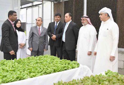 التغلب على محدودية الموارد الطبيعية باعتماد التقنيات الزراعية الحديثة