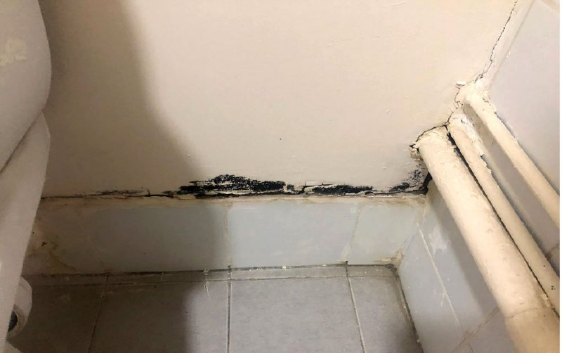 3 أخوات تحت رحمة الشتات