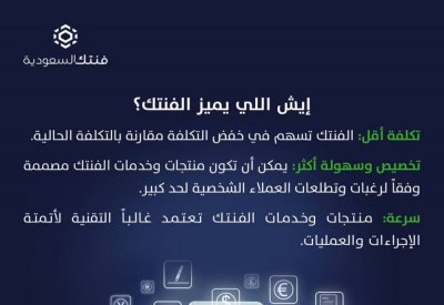 30 شركة في البيئة التجريبية لـ “الفنتك”