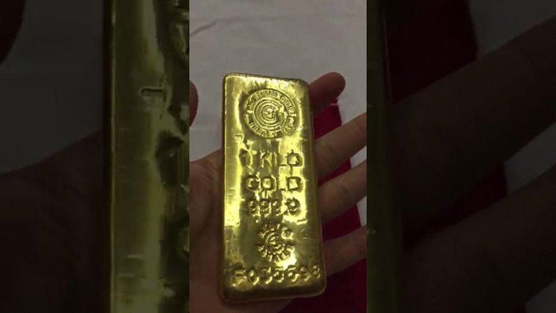 نزهة “تهدي” عائلة كنزا من الذهب