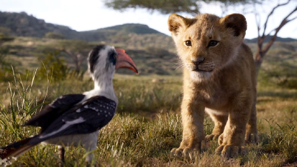 ما لا تعرفونه عن “The Lion King”