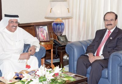 ميرزا يشيد بجهود الشوريين