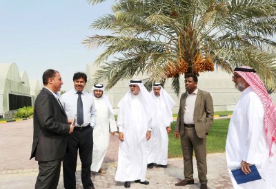 مشروعات تطويرية للنهوض بالحاضنات الزراعية في هورة عالي