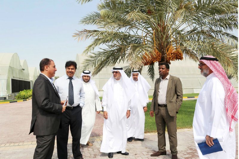 مشروعات تطويرية للنهوض بالحاضنات الزراعية في هورة عالي