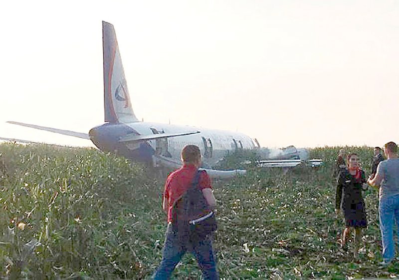 سرب طيور يجبر طائرة روسية على الهبوط
