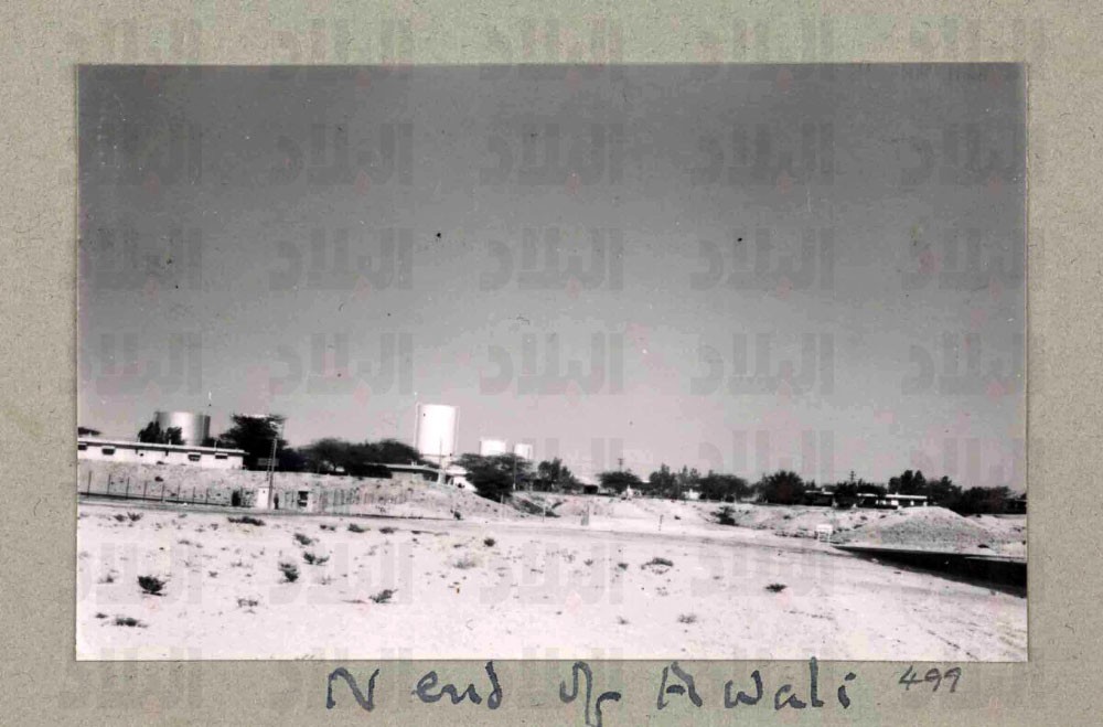 أقصى‭ ‬شمال‭ ‬عوالي