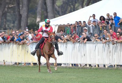 ناصر بن حمد يشيد بفكرة مهرجان محمد بن راشد