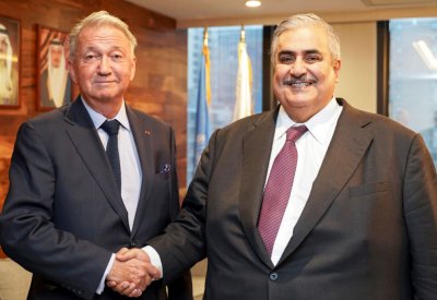 وزير الخارجية يشيد بجهود لارسن ويريميتش