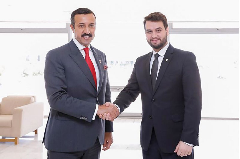 دول الاعتدال العربي تسعى لضمان الأمن والتنمية