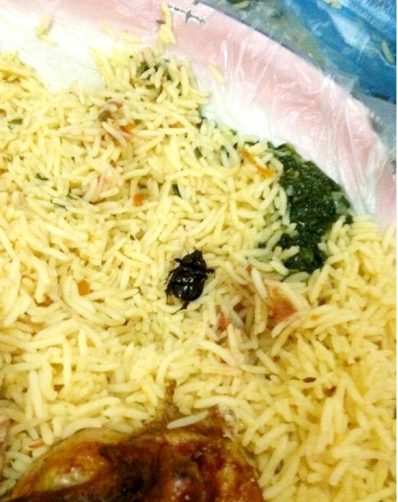وجبة صراصير تغرّم مطعم مندي 100 دينار