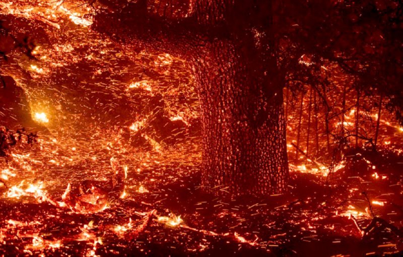 إجلاء 50 ألف شخص جراء حرائق كاليفورنيا