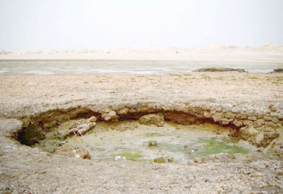 “التخطيط المستقبلي” يطبق أجفان جزيرة الساية