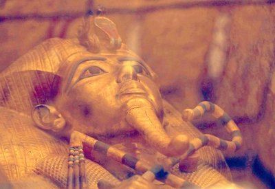 “غينيس” تستعد لتسجيل رقم قياسي مصري