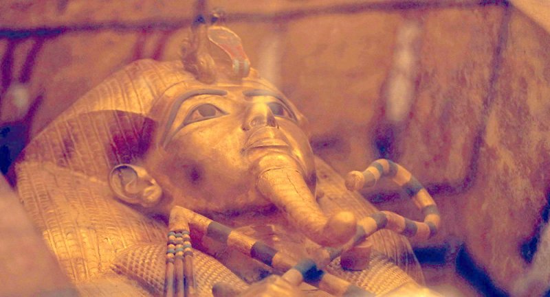 “غينيس” تستعد لتسجيل رقم قياسي مصري