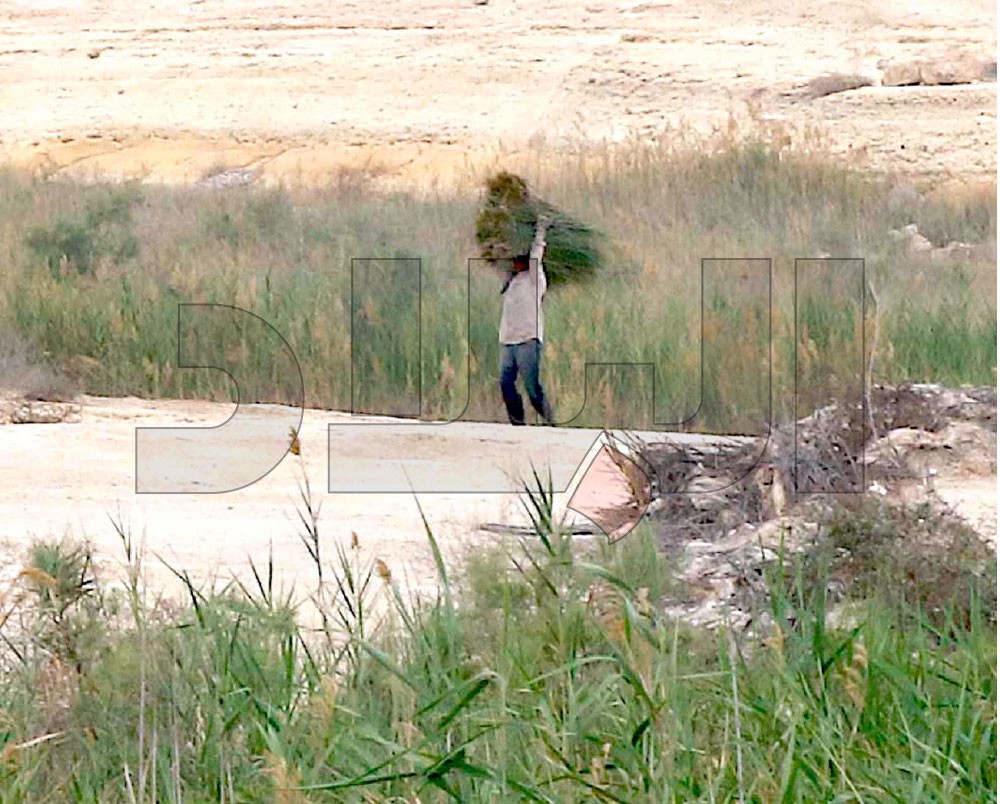 “وادي البحير”... بحيرات وأحراش وطيور وطبيعة خلابة