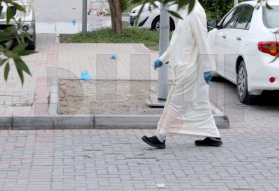 القفازات المرمية على الأرض... ضفادع تنقل كورونا!